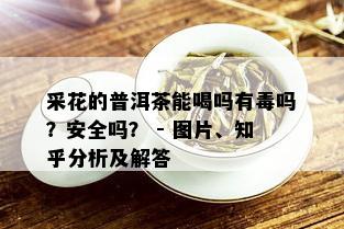 采花的普洱茶能喝吗有吗？安全吗？ - 图片、知乎分析及解答