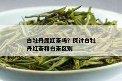 白牡丹属红茶吗？探讨白牡丹红茶和白茶区别