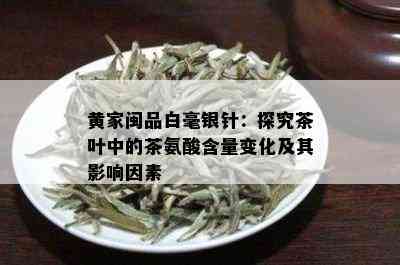 黄家闽品白毫银针：探究茶叶中的茶氨酸含量变化及其影响因素