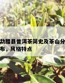 勐腊县普洱茶简史及茶山分布，风格特点