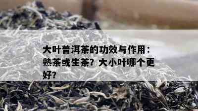 大叶普洱茶的功效与作用：熟茶或生茶？大小叶哪个更好？