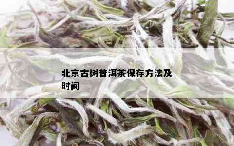 北京古树普洱茶保存方法及时间