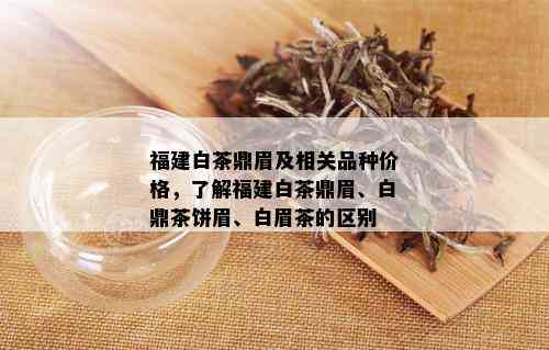 福建白茶鼎眉及相关品种价格，了解福建白茶鼎眉、白鼎茶饼眉、白眉茶的区别