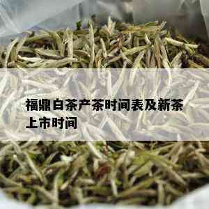 福鼎白茶产茶时间表及新茶上市时间