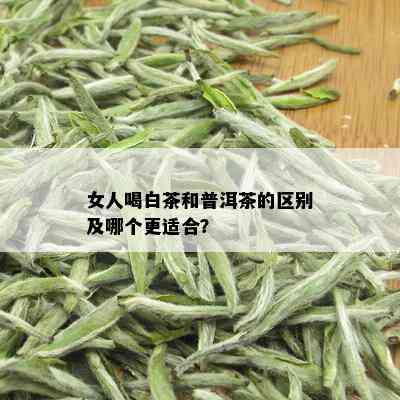 女人喝白茶和普洱茶的区别及哪个更适合？