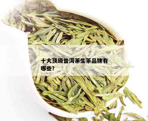 十大顶级普洱茶生茶品牌有哪些？