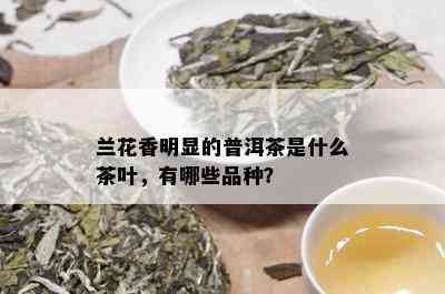 兰花香明显的普洱茶是什么茶叶，有哪些品种？