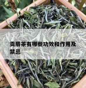 贡眉茶有哪些功效和作用及禁忌