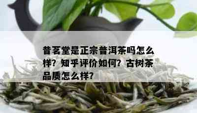 昔茗堂是正宗普洱茶吗怎么样？知乎评价如何？古树茶品质怎么样？