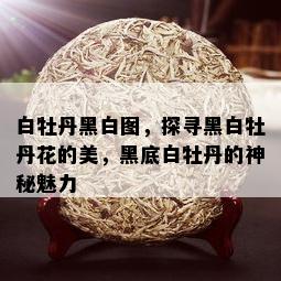 白牡丹黑白图，探寻黑白牡丹花的美，黑底白牡丹的神秘魅力