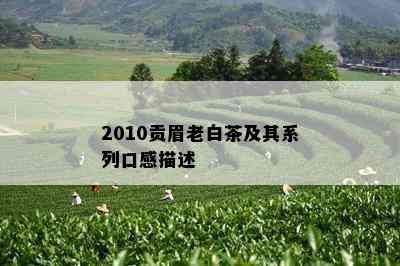 2010贡眉老白茶及其系列口感描述