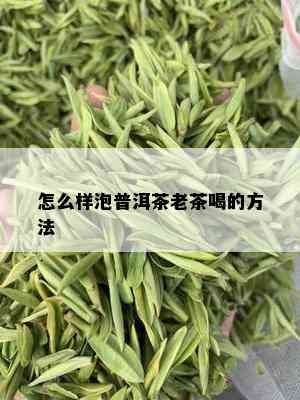 怎么样泡普洱茶老茶喝的方法