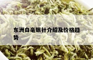 东洲白毫银针介绍及价格趋势