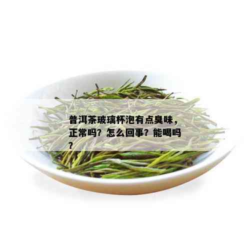 普洱茶玻璃杯泡有点臭味，正常吗？怎么回事？能喝吗？