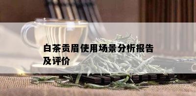 白茶贡眉使用场景分析报告及评价