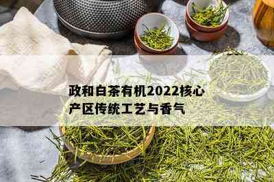 政和白茶有机2022核心产区传统工艺与香气