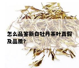 怎么品鉴新白牡丹茶叶真假及品质？