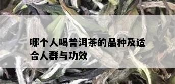 哪个人喝普洱茶的品种及适合人群与功效