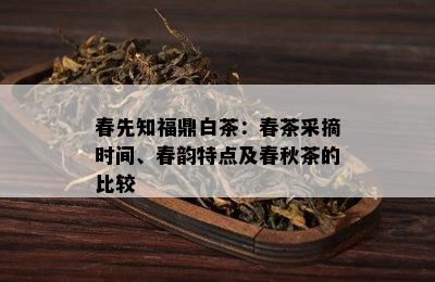 春先知福鼎白茶：春茶采摘时间、春韵特点及春秋茶的比较