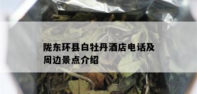 陇东环县白牡丹店电话及周边景点介绍