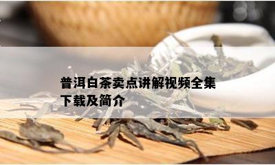 普洱白茶卖点讲解视频全集下载及简介