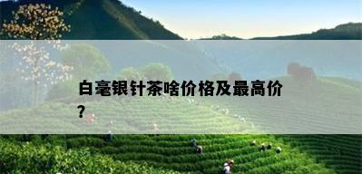 白毫银针茶啥价格及更高价？