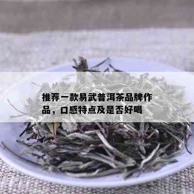 推荐一款易武普洱茶品牌作品，口感特点及是否好喝