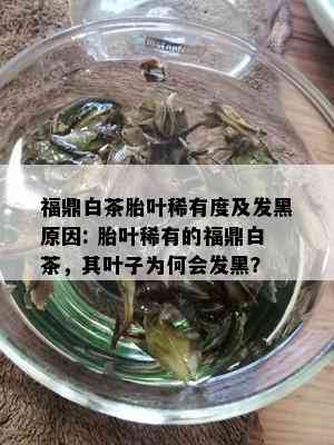 福鼎白茶胎叶稀有度及发黑原因: 胎叶稀有的福鼎白茶，其叶子为何会发黑？