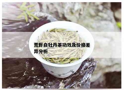 荒野白牡丹茶功效及价格差异分析