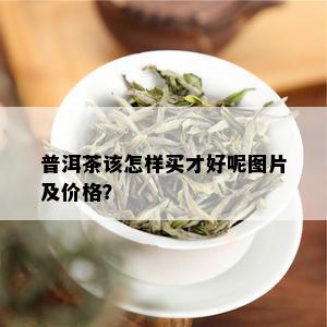 普洱茶该怎样买才好呢图片及价格？