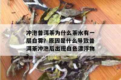 冲泡普洱茶为什么茶水有一层白雾？原因是什么导致普洱茶冲泡后出现白色漂浮物？