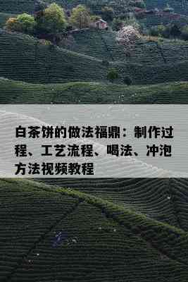 白茶饼的做法福鼎：制作过程、工艺流程、喝法、冲泡方法视频教程