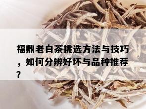 福鼎老白茶挑选方法与技巧，如何分辨好坏与品种推荐？