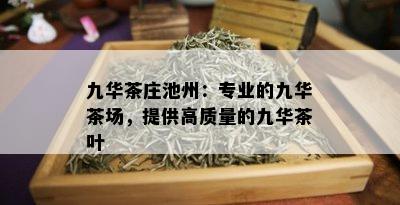 九华茶庄池州：专业的九华茶场，提供高质量的九华茶叶