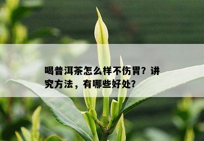 喝普洱茶怎么样不伤胃？讲究方法，有哪些好处？