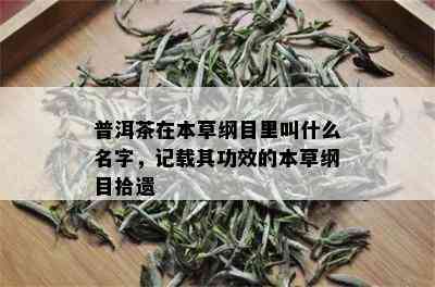 普洱茶在本草纲目里叫什么名字，记载其功效的本草纲目拾遗