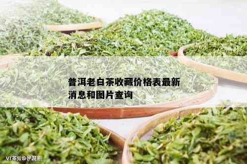 普洱老白茶收藏价格表最新消息和图片查询