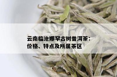 云南临沧娜罕古树普洱茶：价格、特点及所属茶区