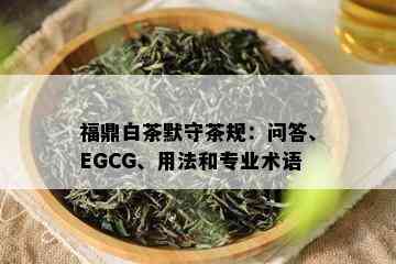 福鼎白茶默守茶规：问答、EGCG、用法和专业术语