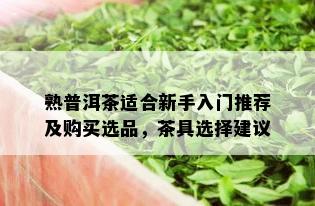 熟普洱茶适合新手入门推荐及购买选品，茶具选择建议