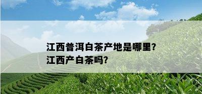 江西普洱白茶产地是哪里？江西产白茶吗？