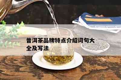 普洱茶品牌特点介绍词句大全及写法