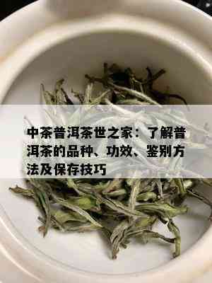 中茶普洱茶世之家：了解普洱茶的品种、功效、鉴别方法及保存技巧