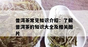 普洱茶常见知识介绍：了解普洱茶的知识大全及相关图片