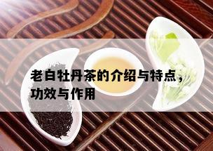 老白牡丹茶的介绍与特点，功效与作用