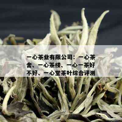 一心茶业有限公司：一心茶舍、一心茶楼、一心一茶好不好、一心堂茶叶综合评测