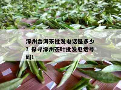 涿州普洱茶批发电话是多少？探寻涿州茶叶批发电话号码！