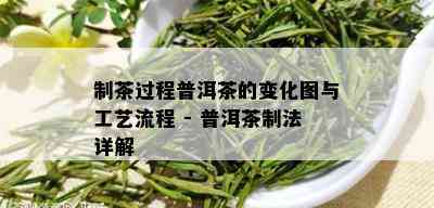 制茶过程普洱茶的变化图与工艺流程 - 普洱茶制法详解