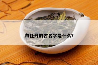 白牡丹的古名字是什么？