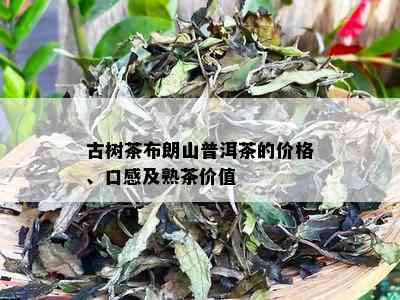 古树茶布朗山普洱茶的价格、口感及熟茶价值